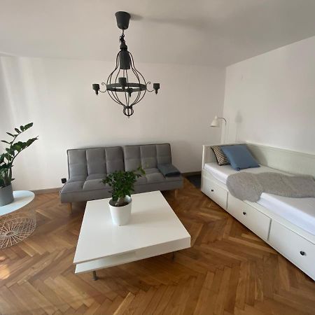 بييلسكو بياوا Apartamenty Pod Zabami Nr 2 المظهر الخارجي الصورة